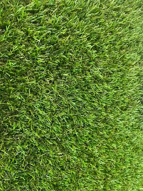 Hampton Artificial Lawn